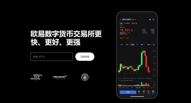 VV交易所官网下载页面展示